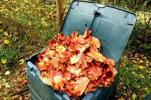 Как сделать домашний компост всего за 2 недели Как сделать домашний компост всего за 2 недели