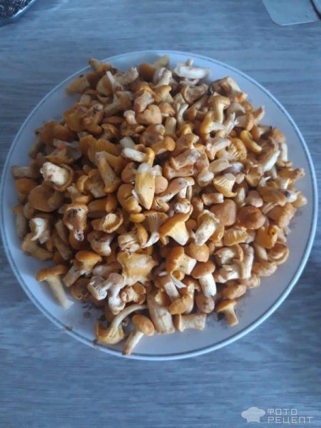 Рецепт: Грибной суп с лисичками - на бульоне с вермишелью!