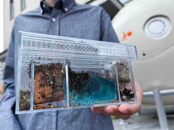 Биоспутник &laquo;Бион&raquo;№2 доставлен на космодром Байконур: ученые рассказали, кто полетит на орбиту в августе