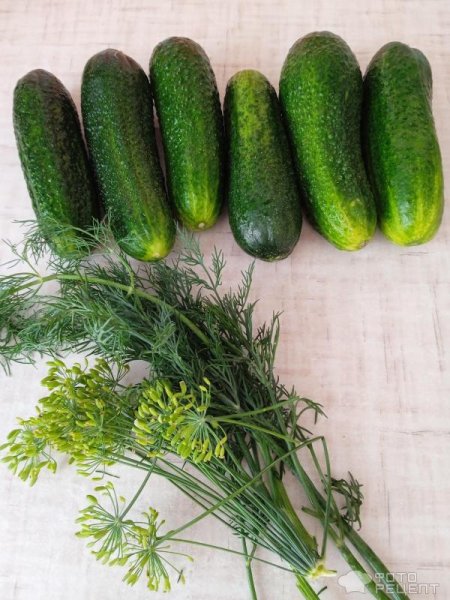 Рецепт: Малосольные огурчики за 8 часов - Изумрудные, хрустящие и без рассола