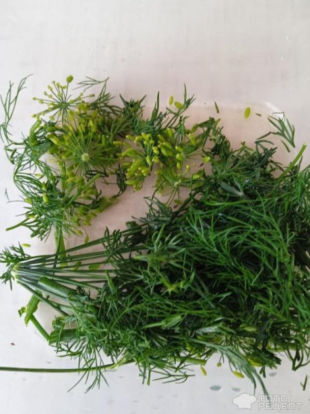 Рецепт: Малосольные огурчики за 8 часов - Изумрудные, хрустящие и без рассола