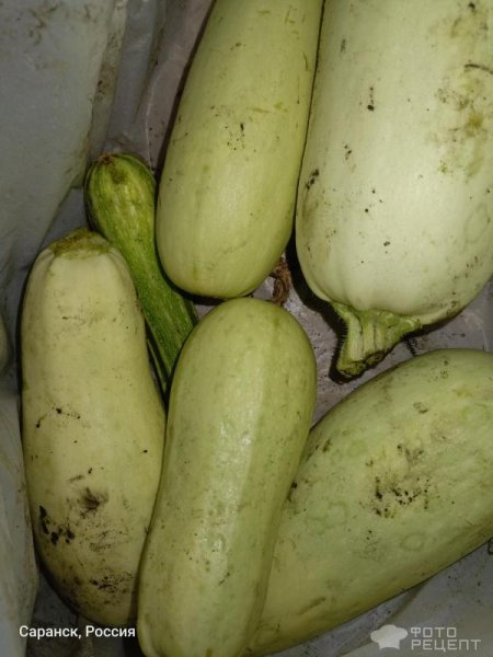 Рецепт: Сушеные кабачки Заготовка в Дигидраторе - Кабачки, как приправа, чипсы, на хранение