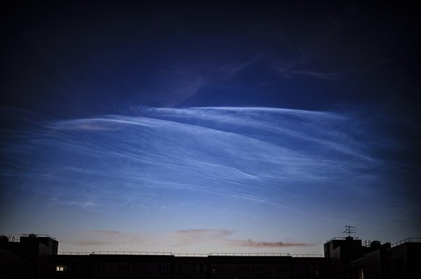 Андромеда будет видна невооруженным глазом: российский ученый рассказала об астрособытиях августа