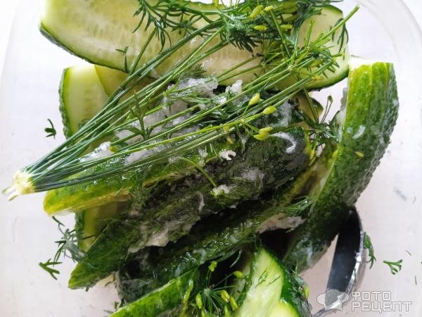 Рецепт: Малосольные огурчики за 8 часов - Изумрудные, хрустящие и без рассола