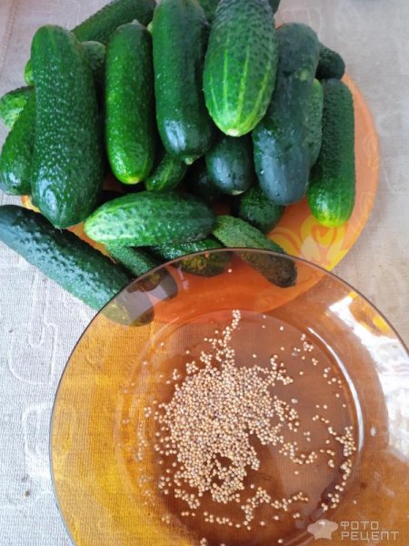 Рецепт: Салат из огурцов на зиму - Только огурцы и семена горчицы: но как же это быстро и вкусно!