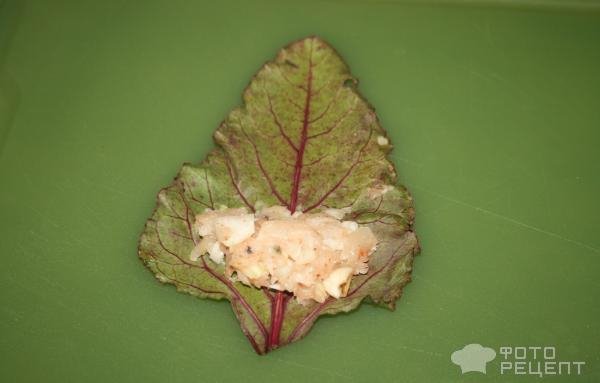 Рецепт: Голубцы из свекольных листьев - с молодой свекольной ботвой