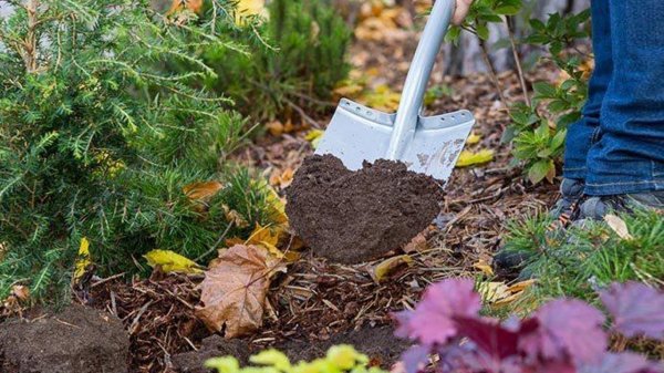 Самые губительные удобрения: что строго запрещено вносить в почву осенью