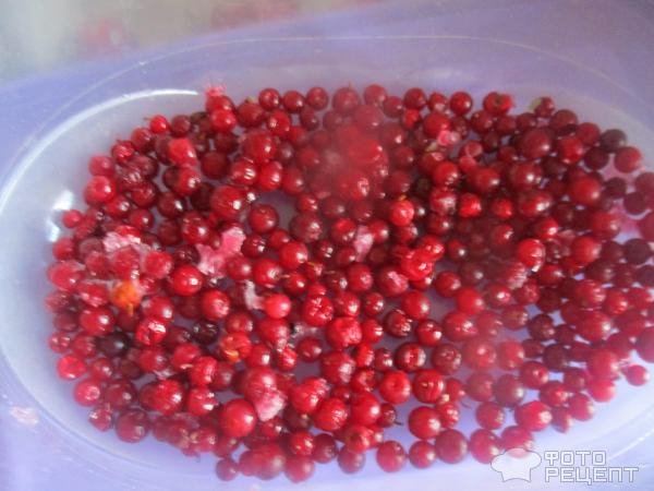 Рецепт: Компот из свежих яблок и черноплодки - с добавлением других фруктов и ягод