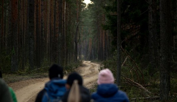 Туроператор бросил туристов на острове в Карелии во время экскурсии Туроператор бросил туристов на острове в Карелии во время экскурсии