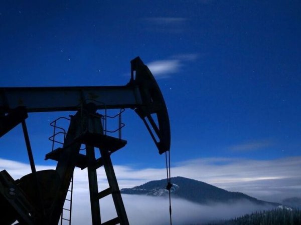 Что будет с ценами на нефть в 2026 году: зависит от действий ОПЕК+