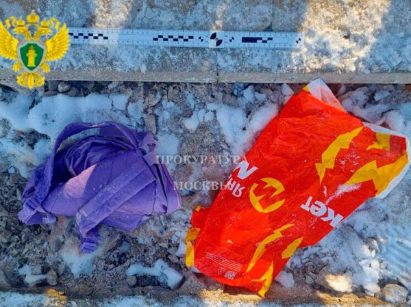 Голову ребенка нашли в пруду во время реконструкции