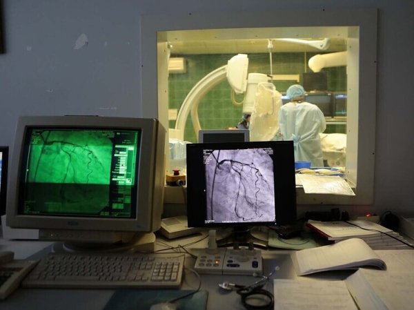 Обнаруженная способность сердца восстанавливаться самому по себе стала прорывом в медицине