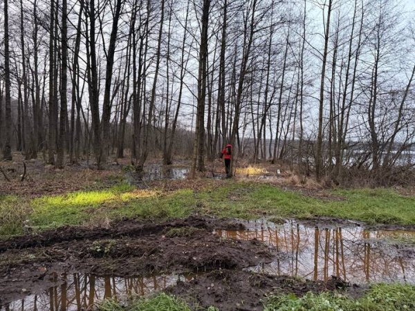 В Подмосковье продолжаются поиски жертв &laquo;богородского маньяка