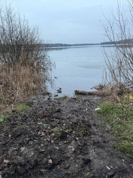 В Подмосковье продолжаются поиски жертв &laquo;богородского маньяка