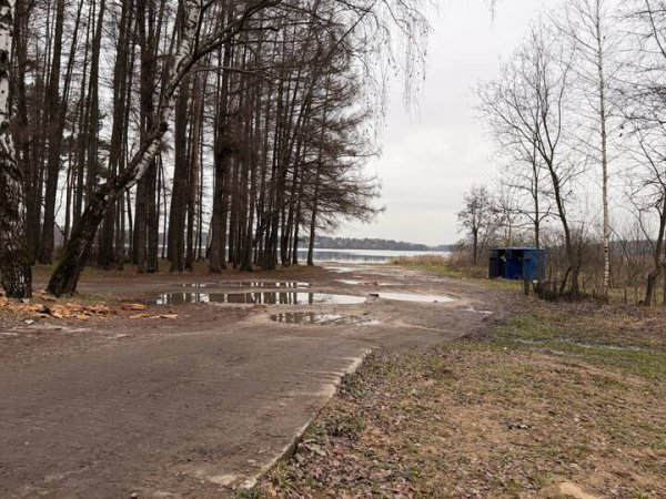 В Подмосковье продолжаются поиски жертв &laquo;богородского маньяка