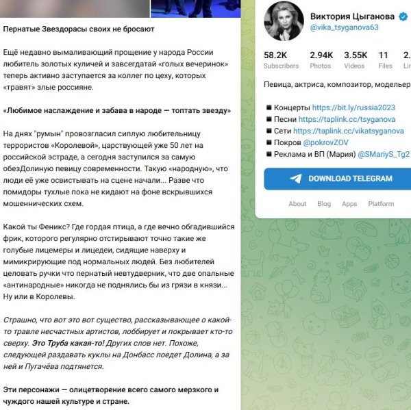Вика Цыганова не удивилась заступничеству Киркорова по отношению к Долиной