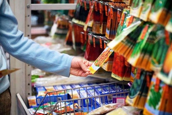 Подбираем семена грамотно: на что обратить внимание огородникам Подбираем семена грамотно: на что обратить внимание огородникам