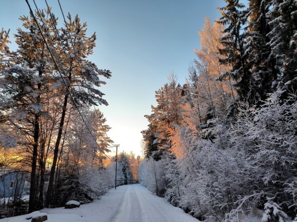 Что можно, а что нельзя делать 3 декабря на Прокла Константинопольского