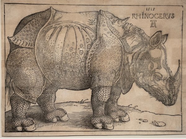 В Пушкинском музее открылась выставка экзотических животных