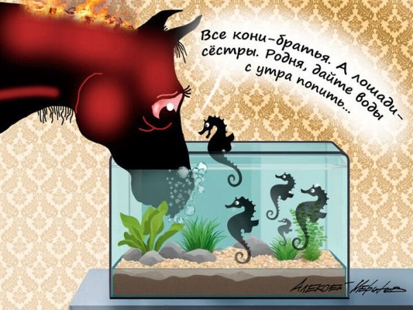 ОпОХмЕЛиОЗ-2026 от Алексея Меринова