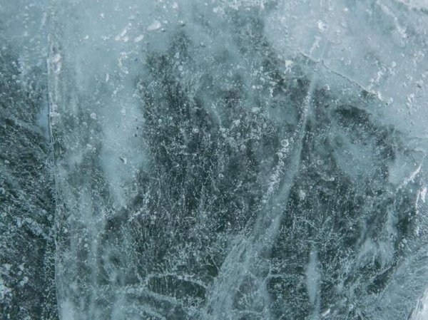 В Байкале нашли древние вирусы, не имеющие аналогов в мире