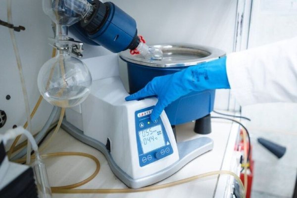 День науки стал праздником не только для ученых