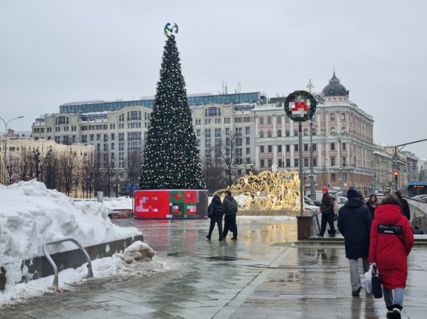 «Все еще Новый год»: россияне высказались по поводу праздничных елей на улицах