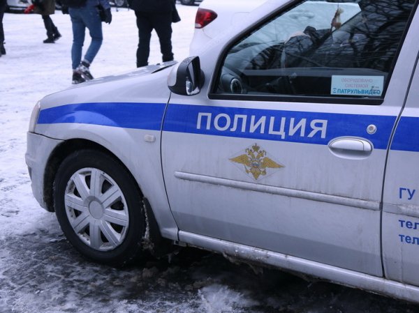 Выяснились подробности биографии погибшей в Новой Москве семейной пары