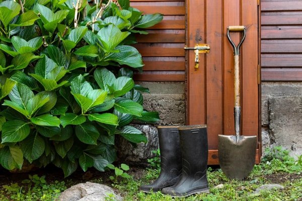 Идеи, которые помогут вам обустроить сад и огород красиво