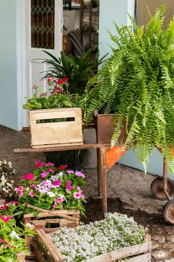 Идеи, которые помогут вам обустроить сад и огород красиво