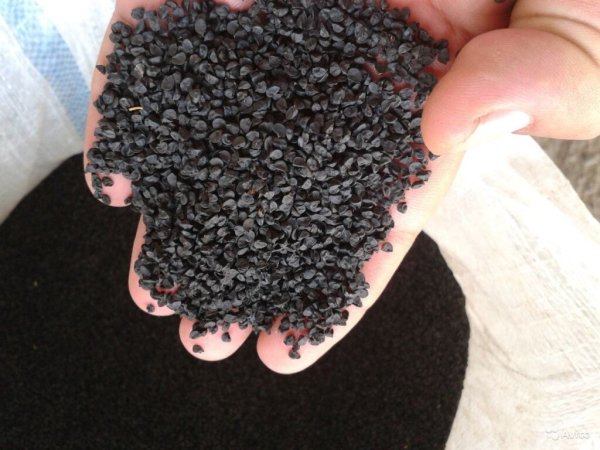 Не пропустите срок: когда лучше сеять чернушку, как подготовить семена и какие правила посадки помогут получить хороший урожай Не пропустите срок: когда лучше сеять чернушку, как подготовить семена и какие правила посадки помогут получить хороший урожай