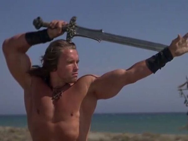 «Конан Варвар», «Хищник», «Коммандос»: Шварценеггер хочет перезагрузить свои боевики