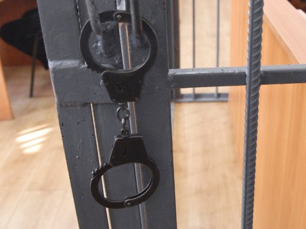 Организатор похищения бывшей жены предстанет перед судом