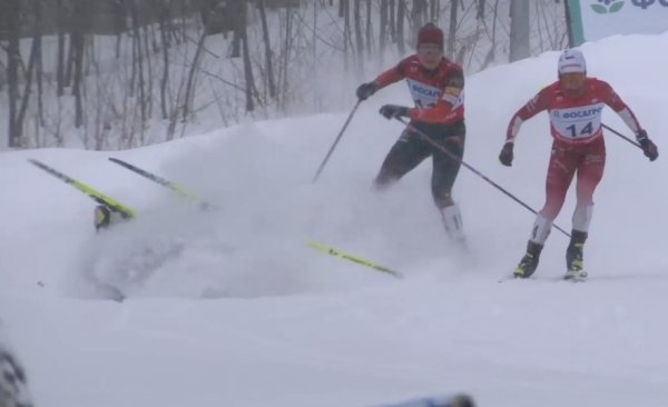Собака сбила лыжницу Кудисову на чемпионате России в Южно-Сахалинске