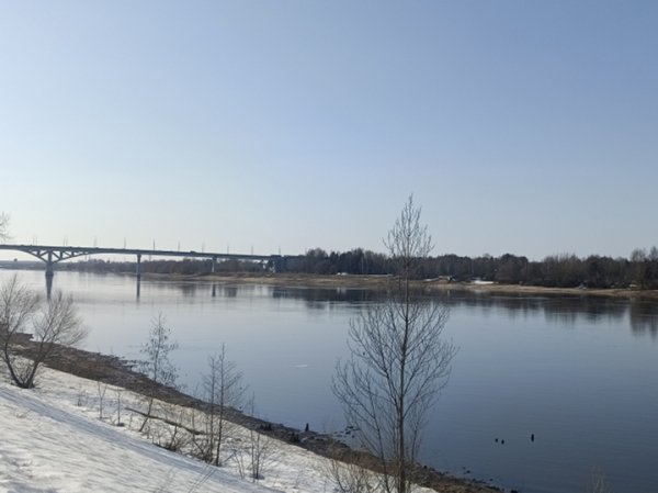 Ждем продолжения таблицы Менделеева: в Дубне рассказали про поиск 119-го элемента