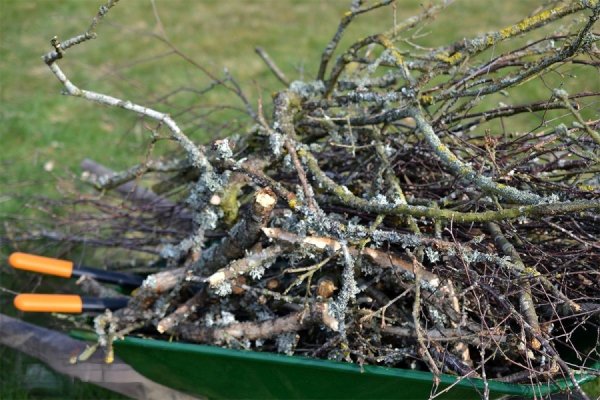 Полезный &laquo;садовый мусор&raquo;: как использовать ветки после сезонной обрезки деревьев и кустарников