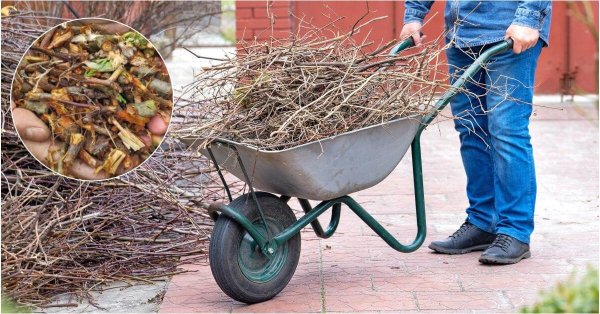 Полезный &laquo;садовый мусор&raquo;: как использовать ветки после сезонной обрезки деревьев и кустарников