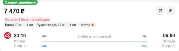 Туристов отвезут в Египет менее чем за 5 тысяч рублей