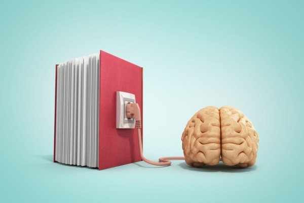 10 книг, которые меняют мышление: что читать, чтобы прокачать интеллект и мыслить как гений 10 книг, которые меняют мышление: что читать, чтобы прокачать интеллект и мыслить как гений