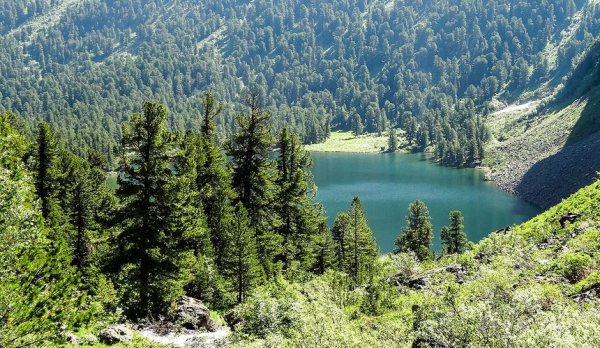 Слетать на майские на Алтай обойдется едва ли не в ту же цену, что и в Таиланд Слетать на майские на Алтай обойдется едва ли не в ту же цену, что и в Таиланд