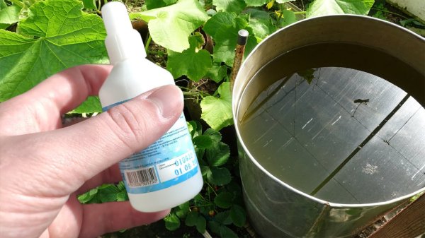 Цветет вода в садовой бочке: почему так происходит и как сохранить ее прозрачной до конца сезона