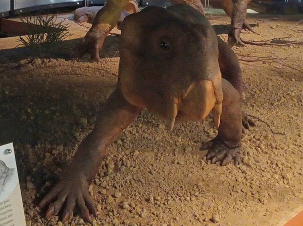 Предки млекопитающих пережили Великое вымирание 250 миллионов лет назад благодаря откладыванию яиц