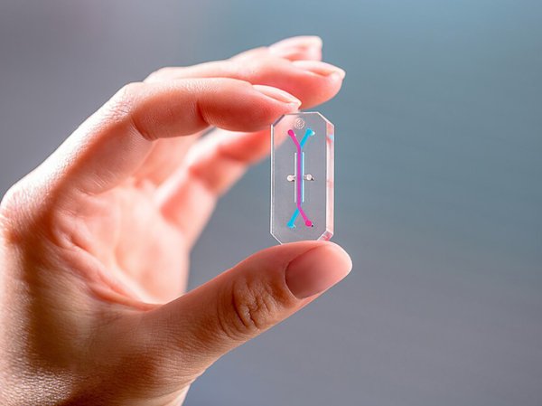 Рекорд по дальности полета, солнечное затмение, занятия "греблей" над Луной: чем удивляет &laquo;Артемида-2&raquo;