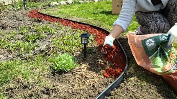 Как использовать древесную стружку в саду: 5 полезных способов для богатого урожая Как использовать древесную стружку в саду: 5 полезных способов для богатого урожая