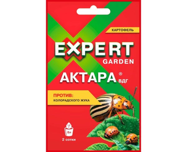 Как реально избавиться от колорадского жука: проверенные средства для защиты картофеля Как реально избавиться от колорадского жука: проверенные средства для защиты картофеля