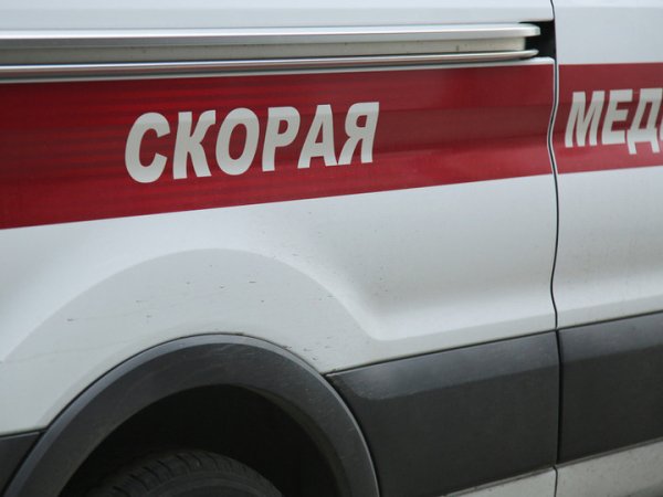 День медицинского работника - 2026: дата, история и традиции праздника