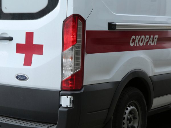 Два человека погибли при пожаре в Подмосковье