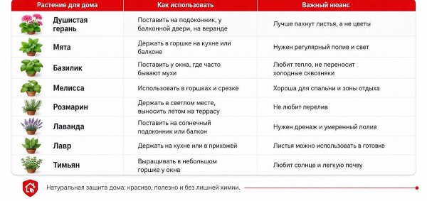 Природные репелленты на дачном участке: полный гид растений от комаров и мух