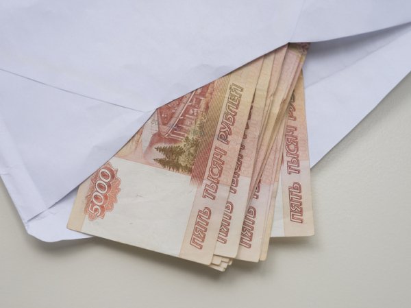 Пятьдесят оттенков «серого»: миллионы россиян выбирают зарплаты «в конверте»