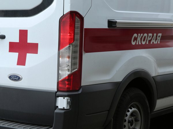 Тело беременной женщины нашли на свалке в Перми, а в Петербурге вейп отправил школьника в реанимацию: картина дня в регионах России глазами &laquo;МК&raquo;